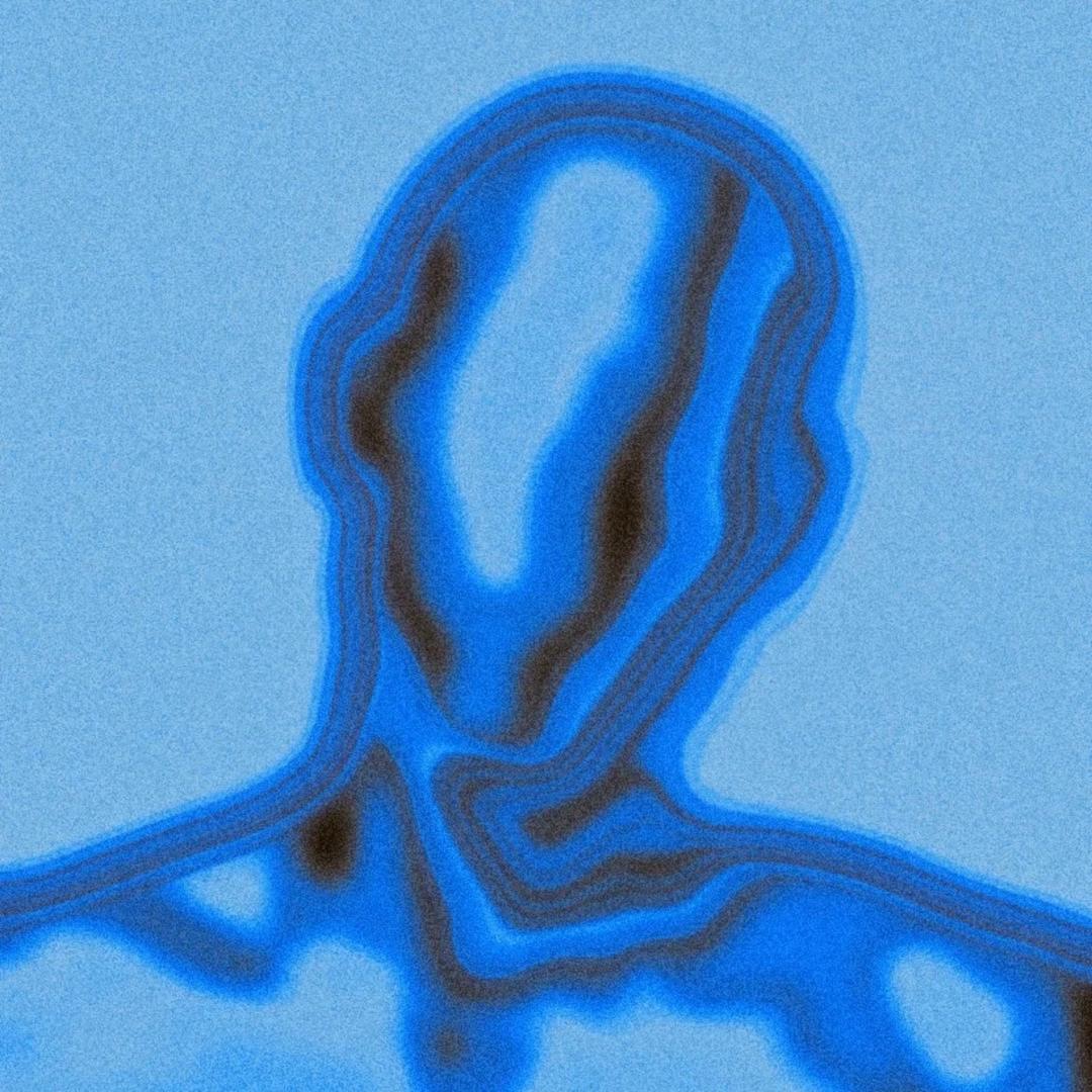 设计师～sadih（异度空间阿克苏店）