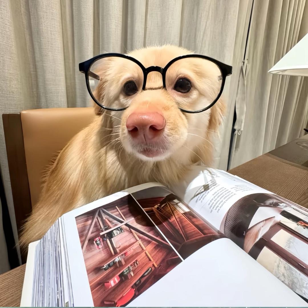 我就是屌丝咋了