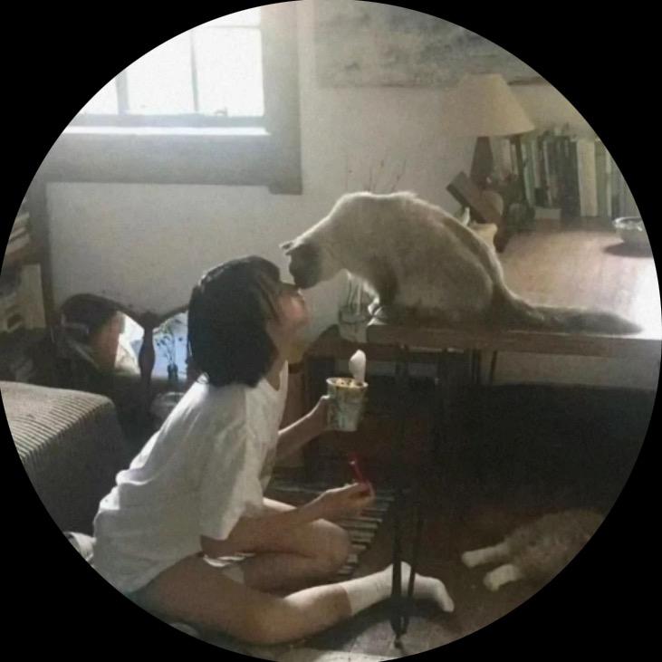一份椰椰冻