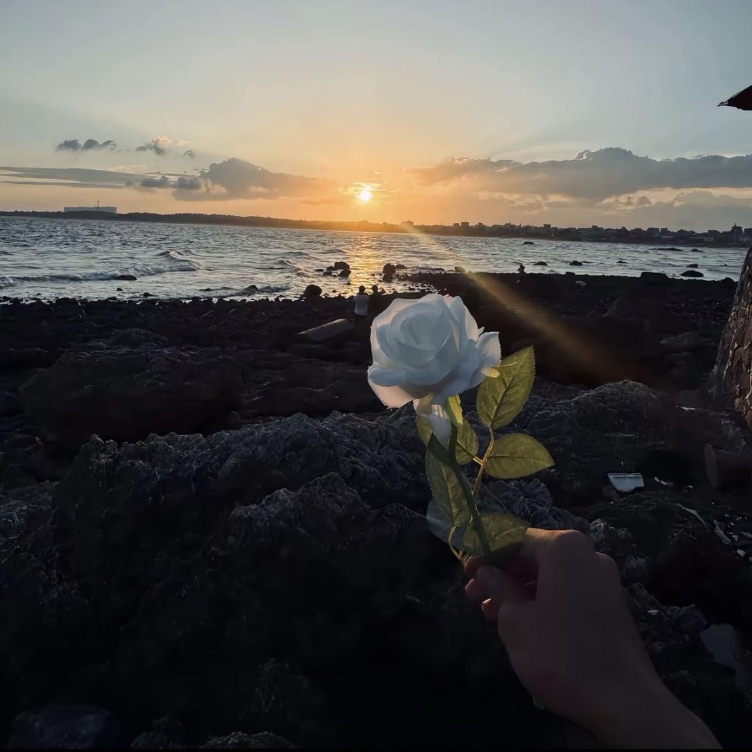 那年秋