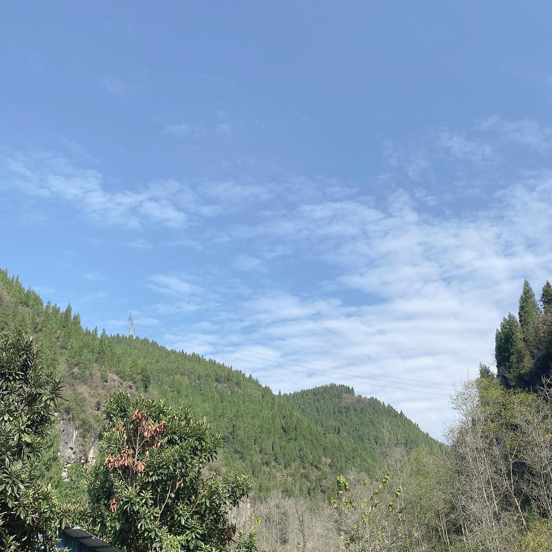 恩&恪
