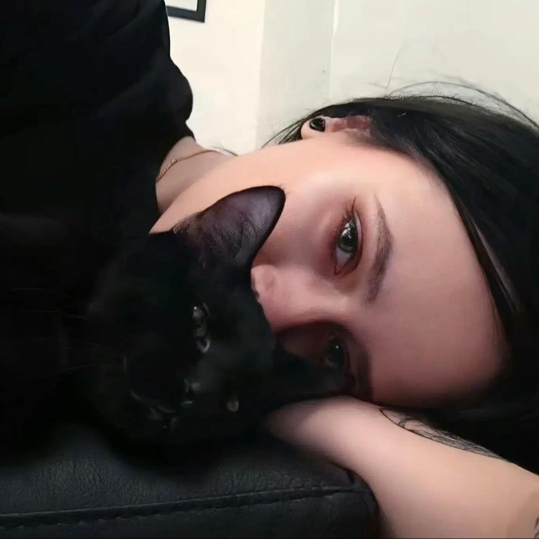🐈‍⬛
