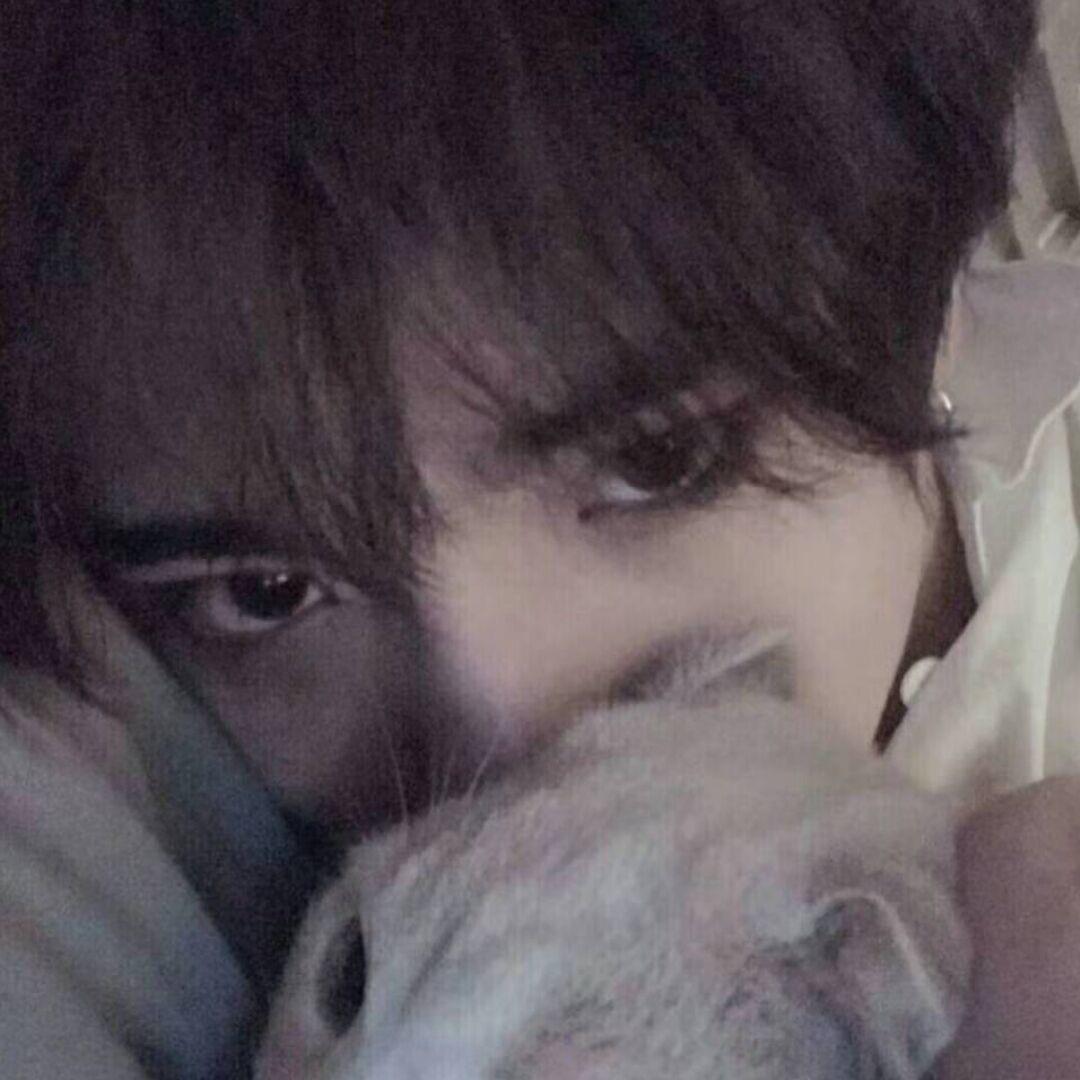 (⁎⁍̴̛ᴗ⁍̴̛⁎)