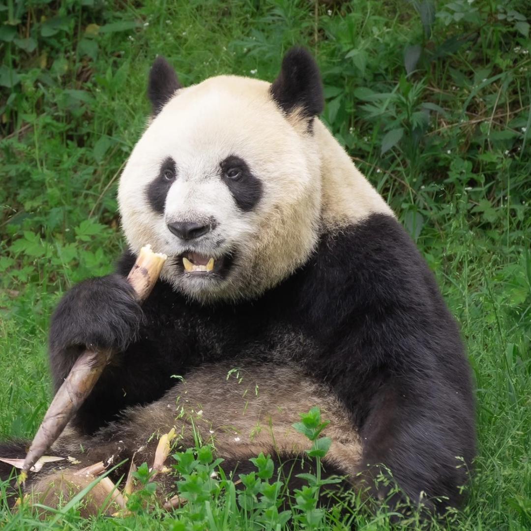小江