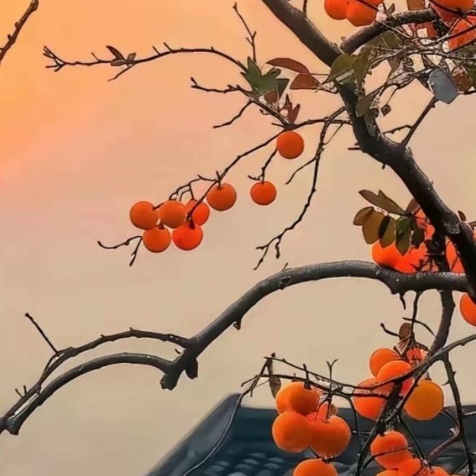 不忘初心方得始终