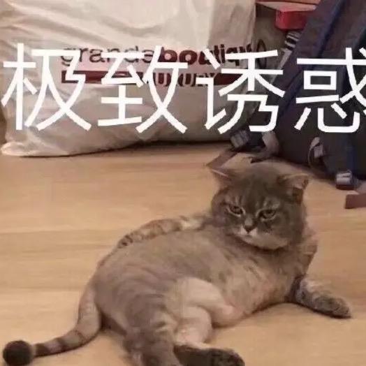 极致诱惑