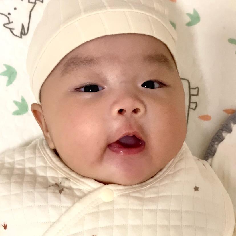 🐰王多多～