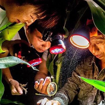 河南蟋蟀市场宠物蛐拍俱乐部