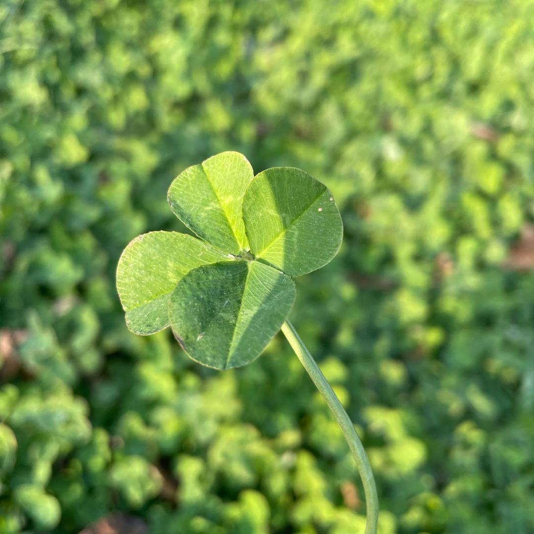 小满🍃