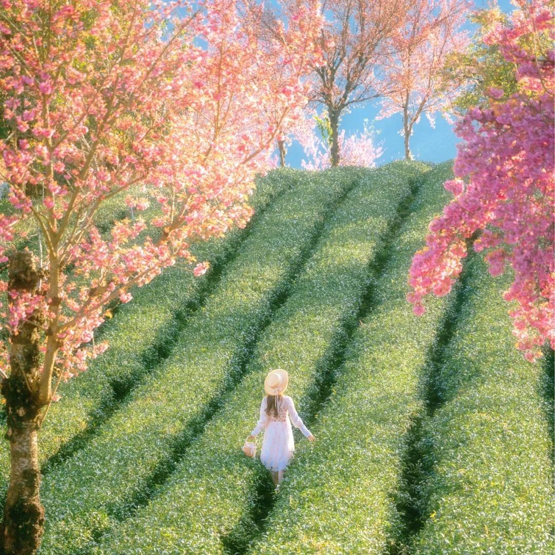 厨房设备～小娟