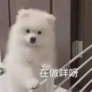今日份元气