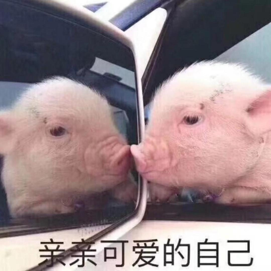 佳浩晟宝贝儿521