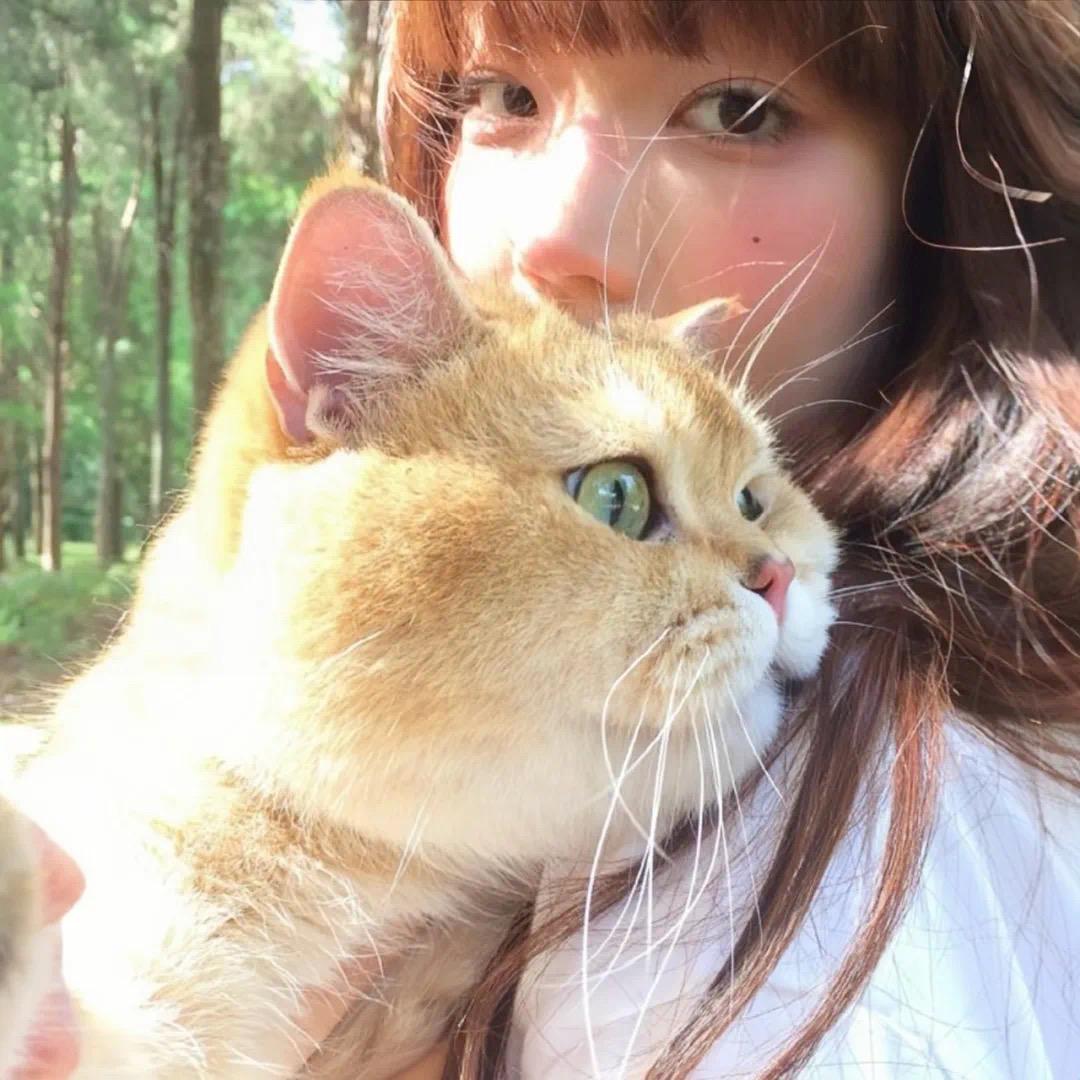 绿🌷