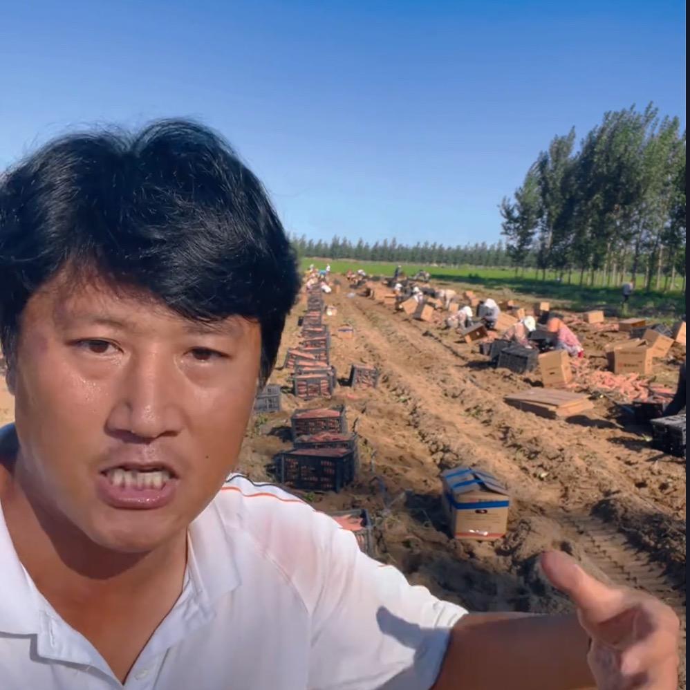 诚毅成志