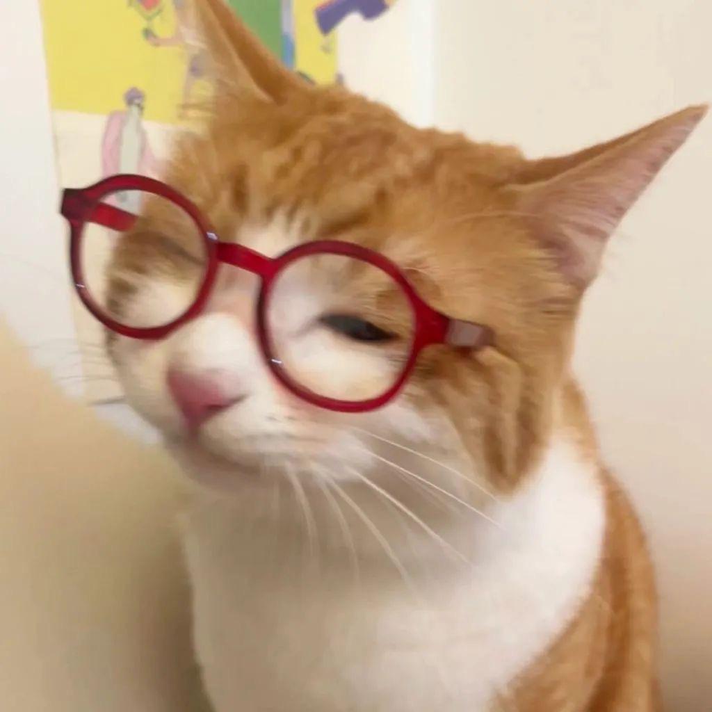 求放过（to签限粉接线上）