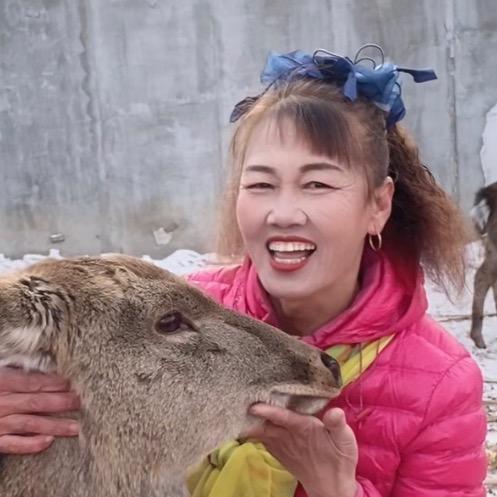 🦌陈红鹿姐🦌