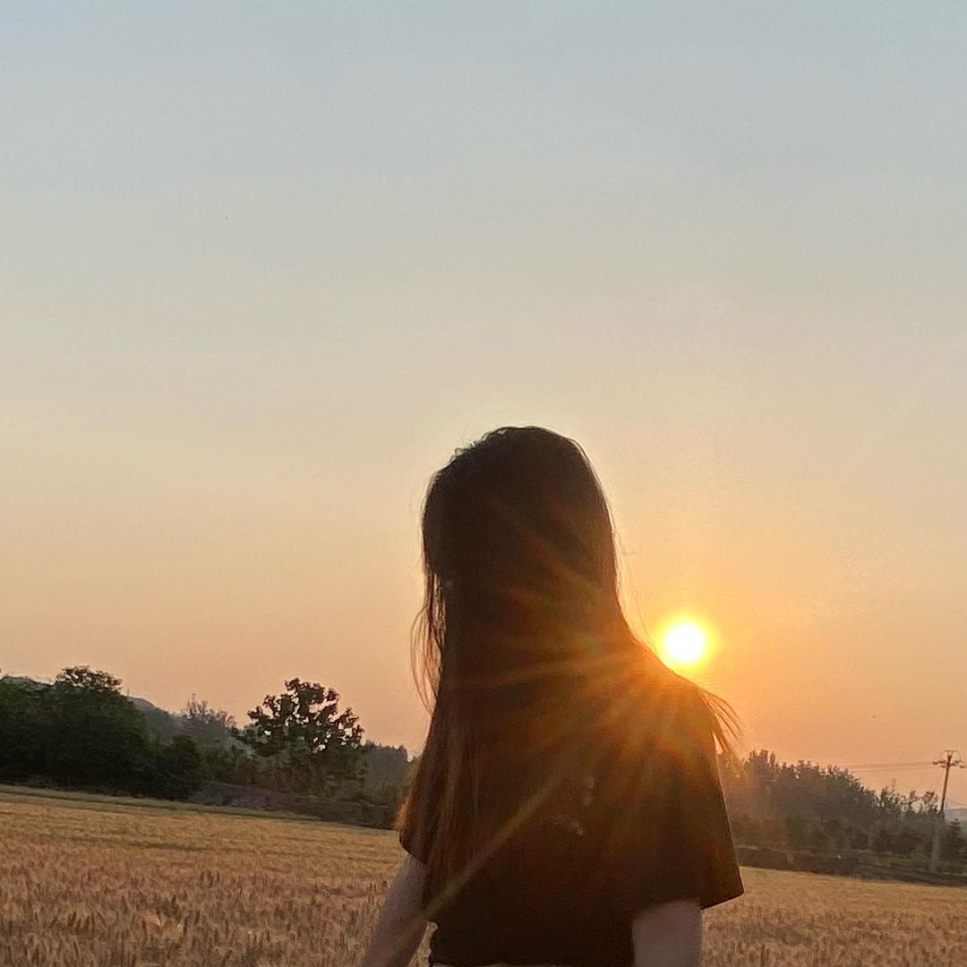 洛在远方
