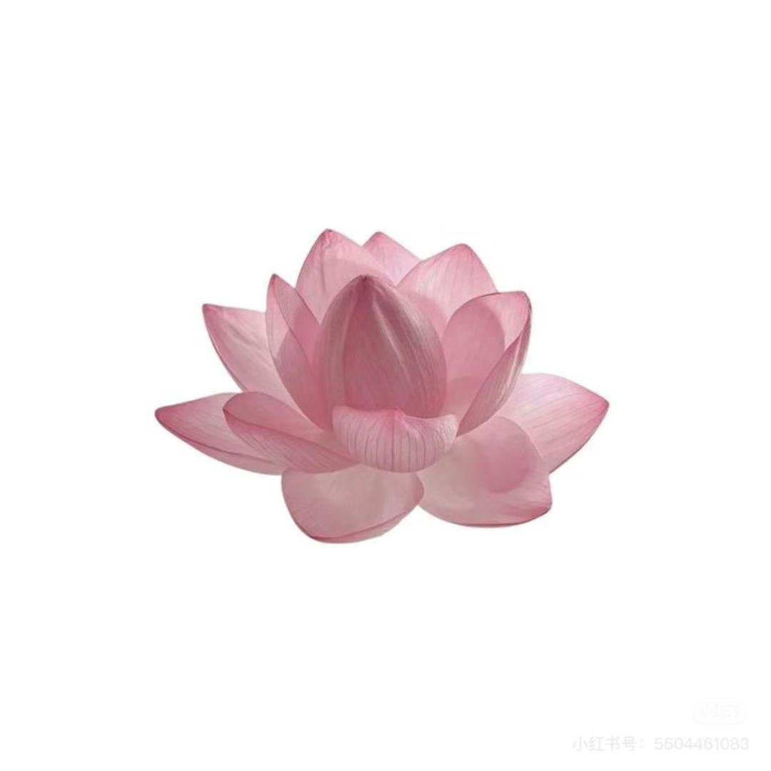 祝我幸福.