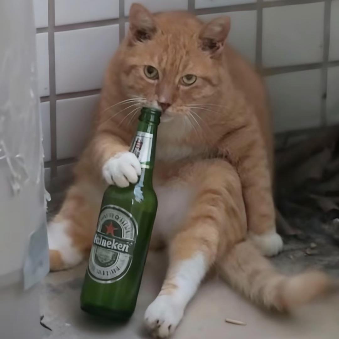 初遇