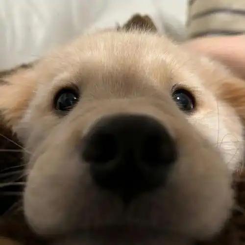 博的啊