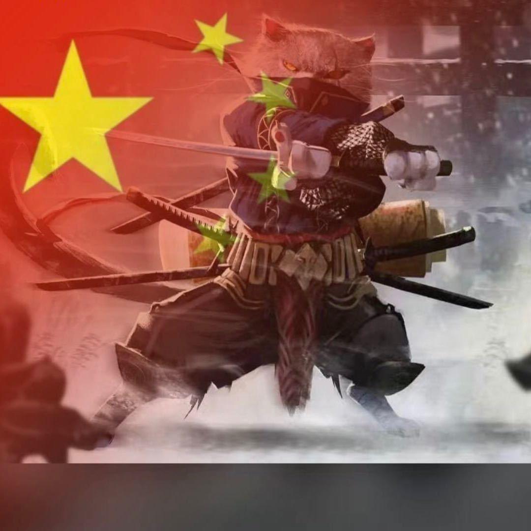 皮皮空