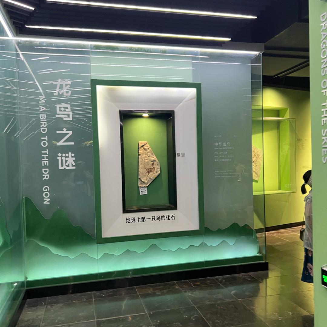 柠檬柚妈妈