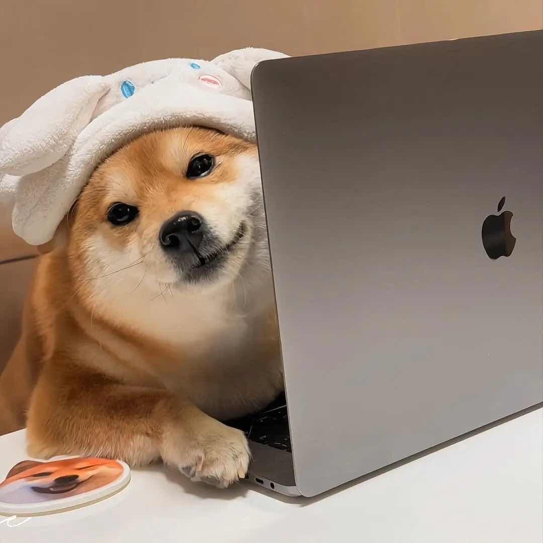 姜枣茶