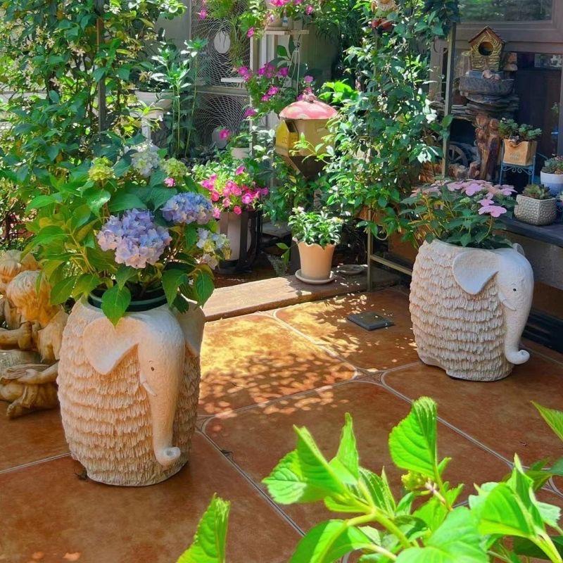 幸运花集