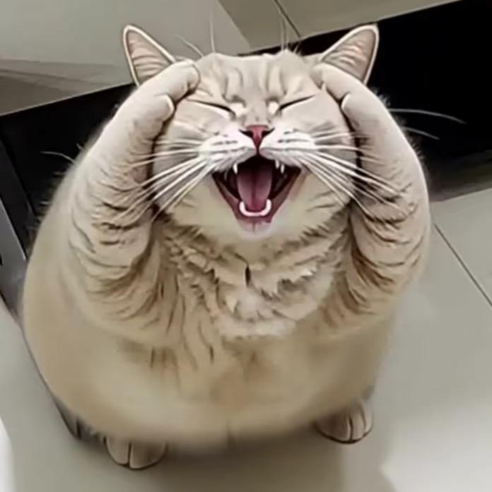 GG猪猪