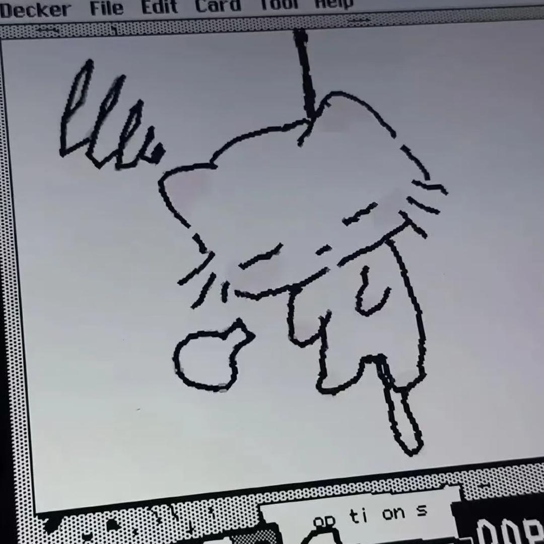 张小猫