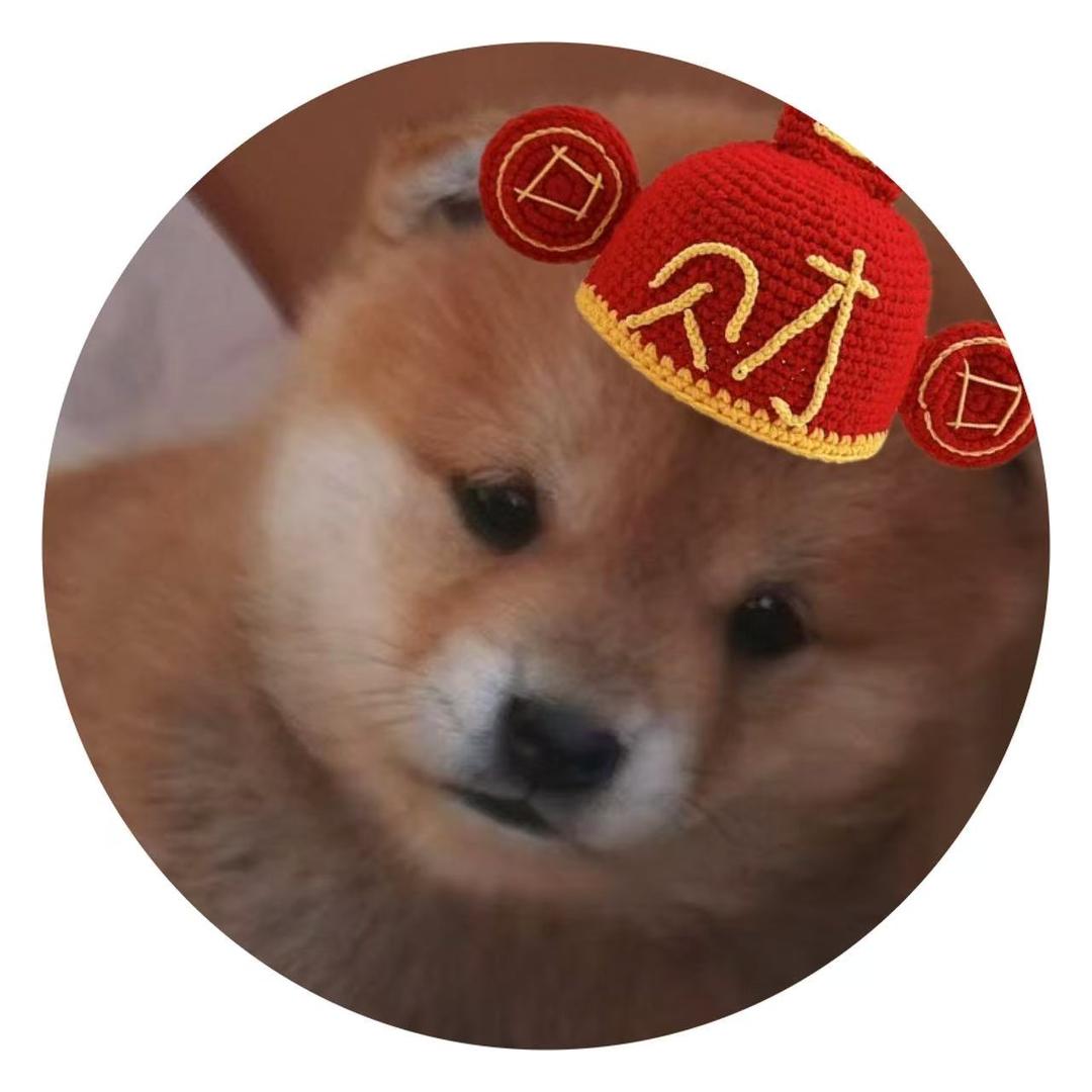 养殖繁育豆柴小体柴标柴的大养户