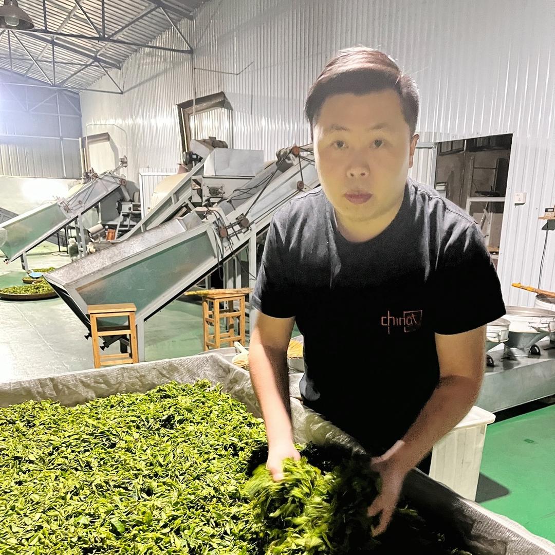 日照绿茶刚子（源头茶厂直销）