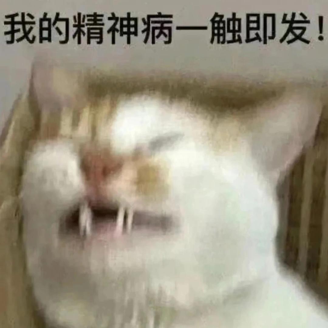 小助理 520
