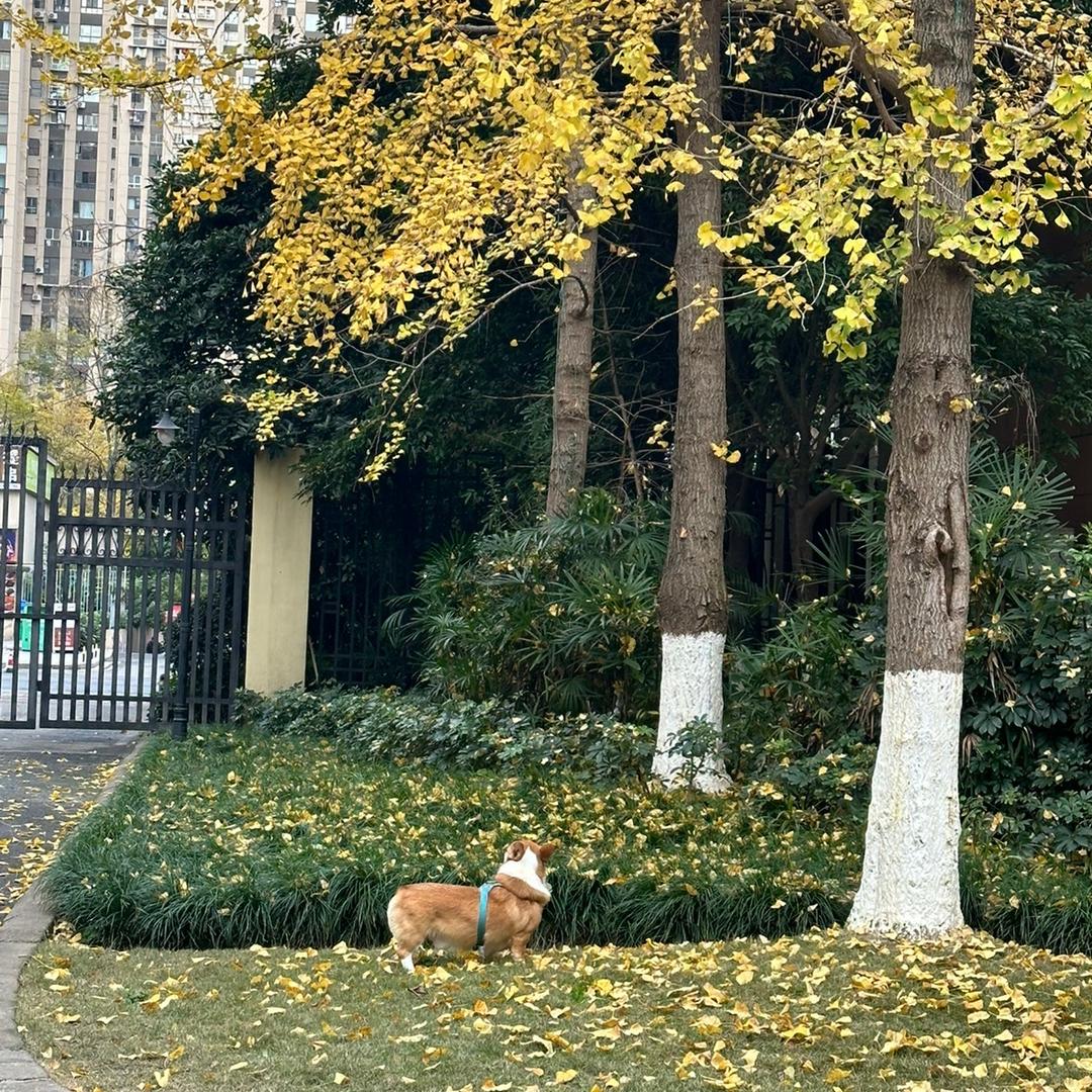 别见面了.