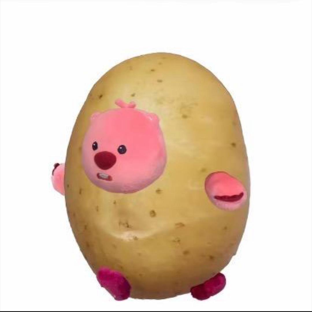 锦鲤