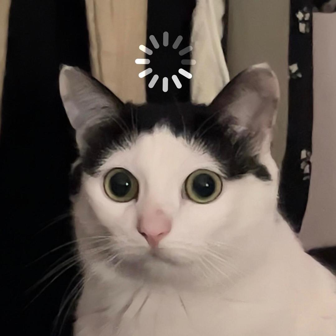 /•᷅•᷄\੭