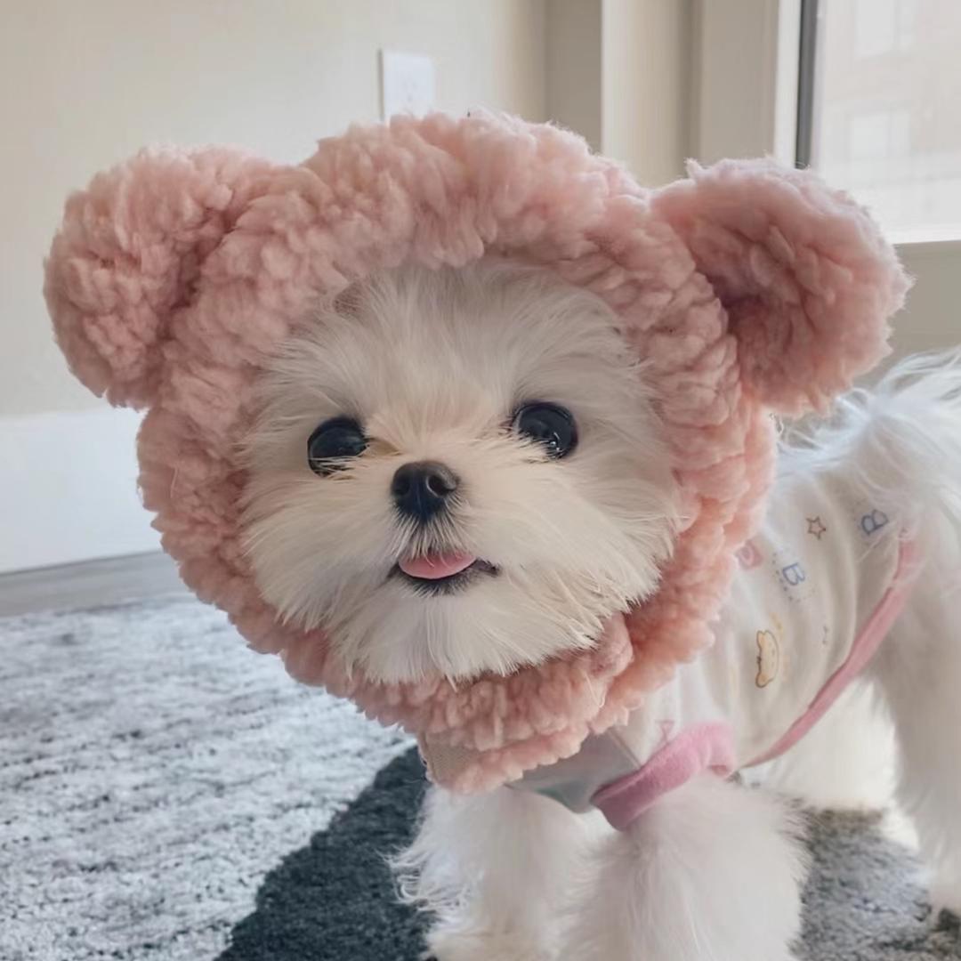 小青