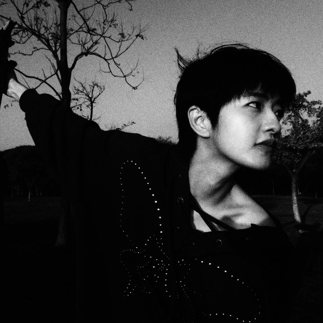 夏纯Chun.（蓝色小水母🪼