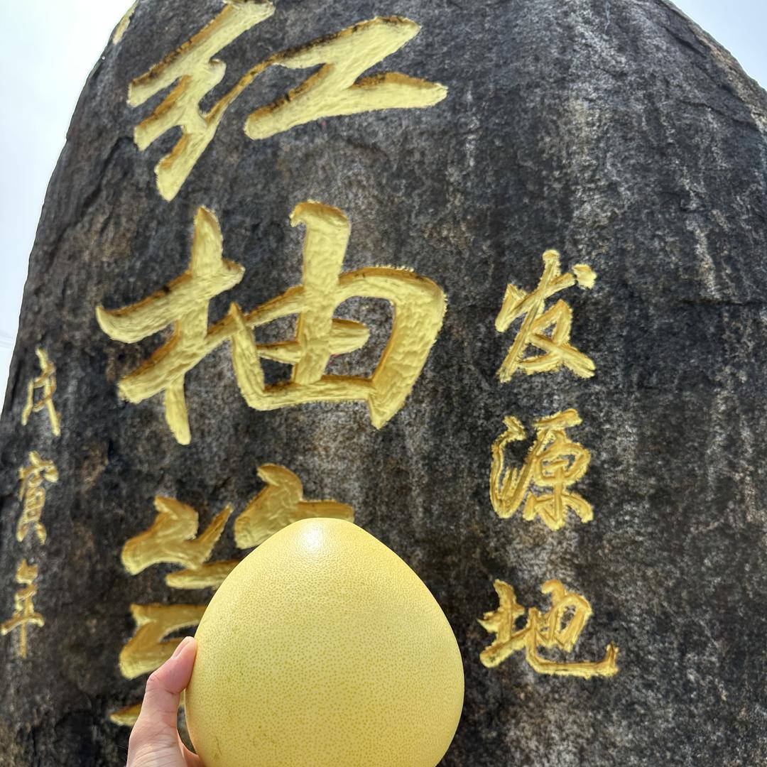 福建-果鲜成闽-琯溪蜜柚
