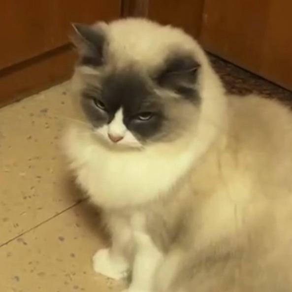 Joji