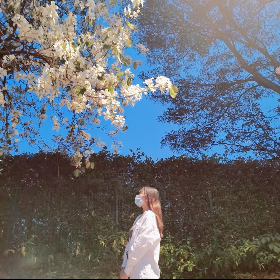 ᰔᩚL（不要连赞）