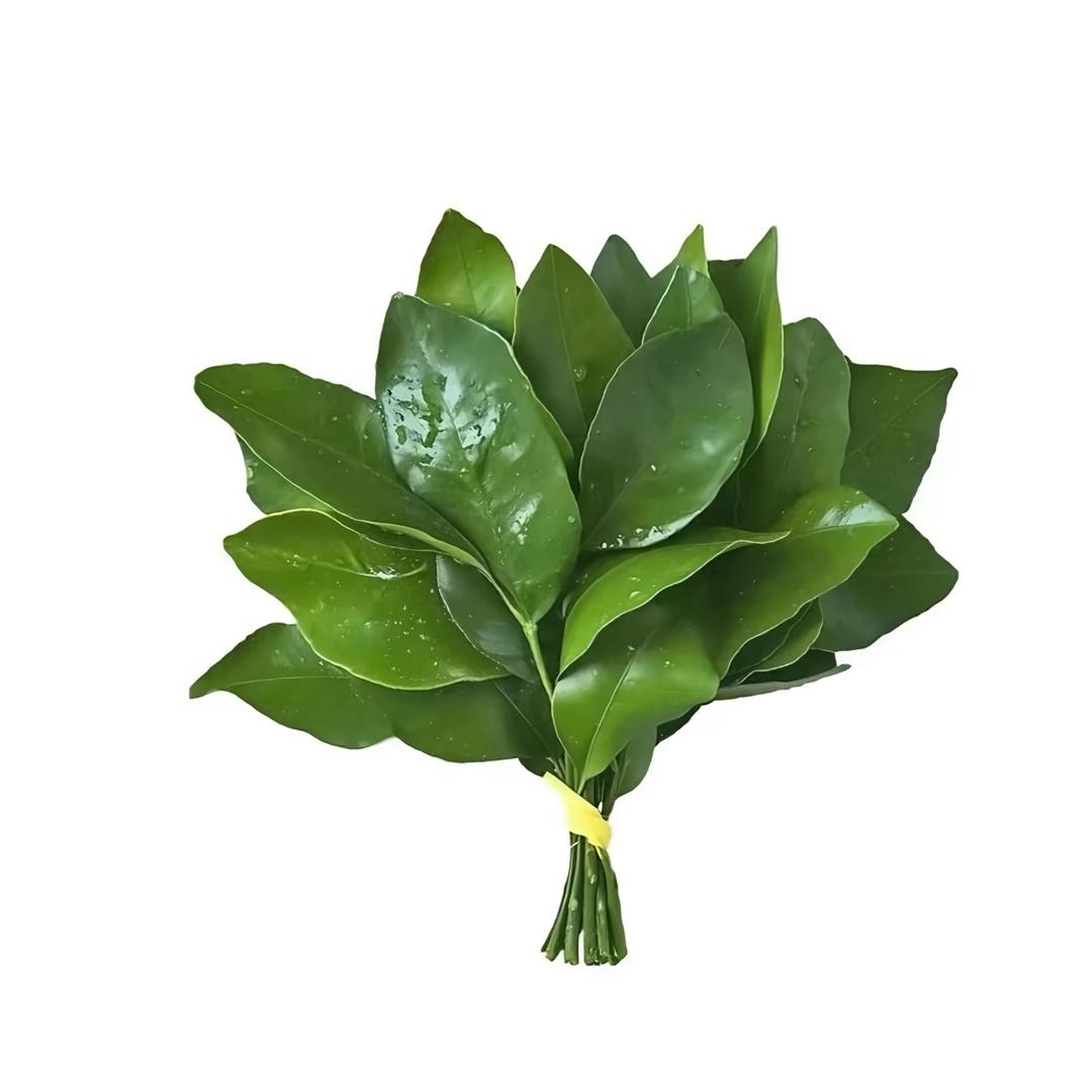 蟒.