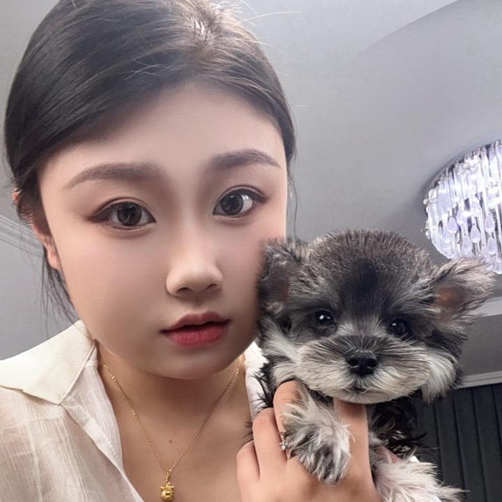 大婷家的小助理