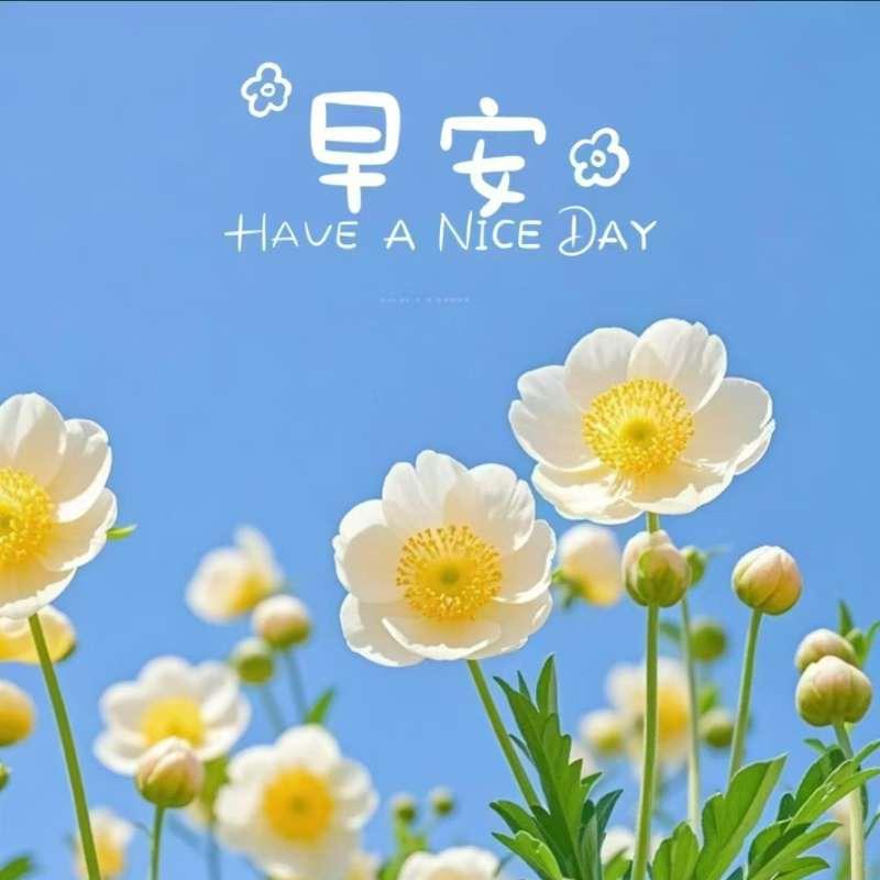 ❄️雪花