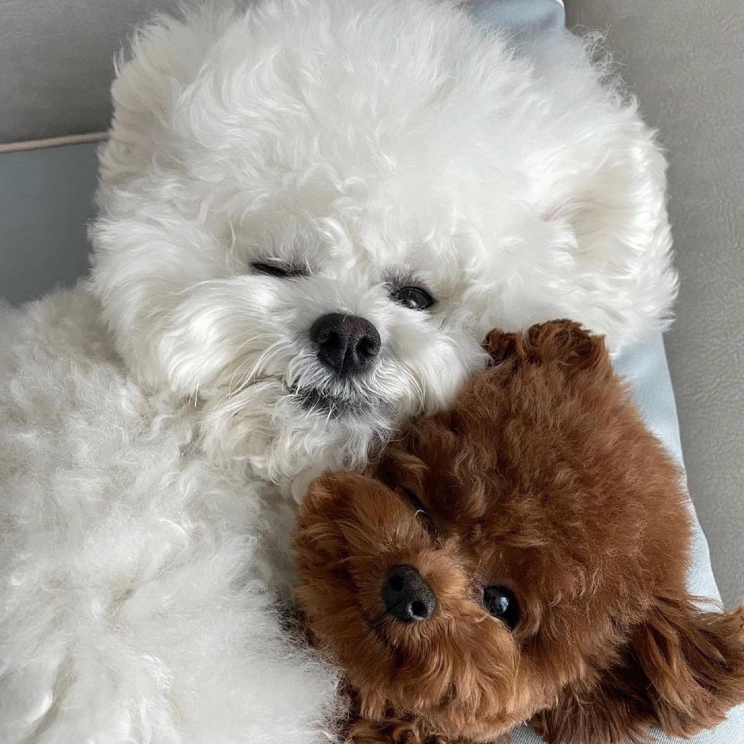 ChenTYii_kkin"🥥