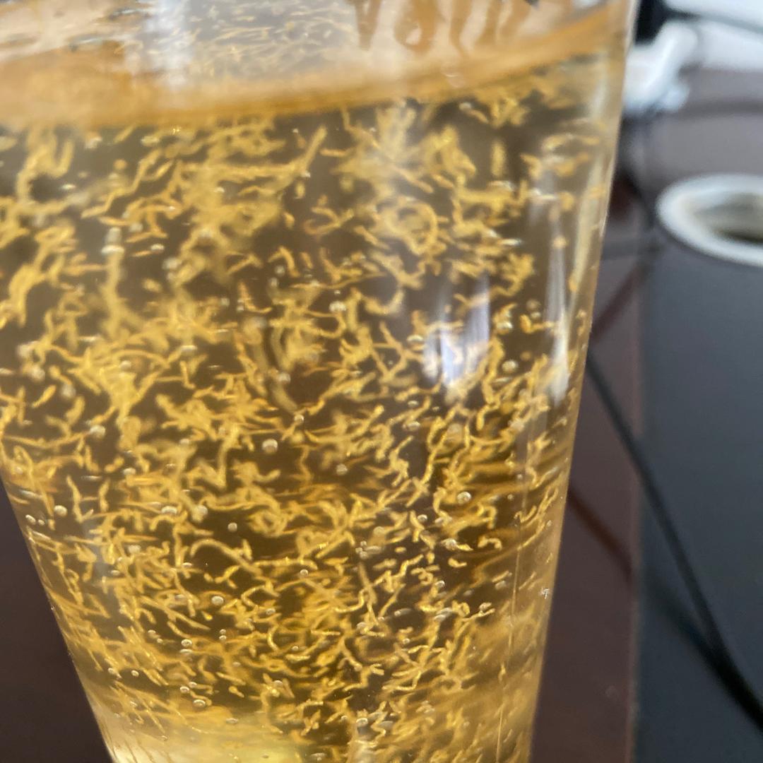 🍉🍉所谓伊人