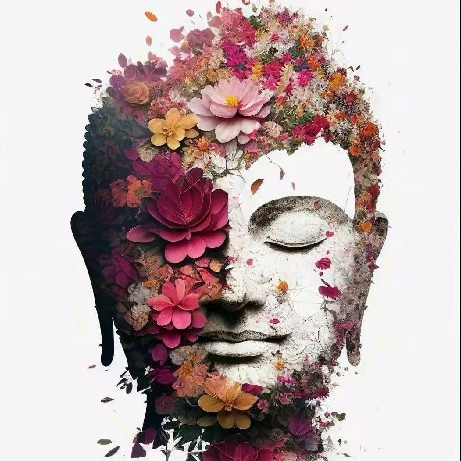 宗萨先生🎨藏卡