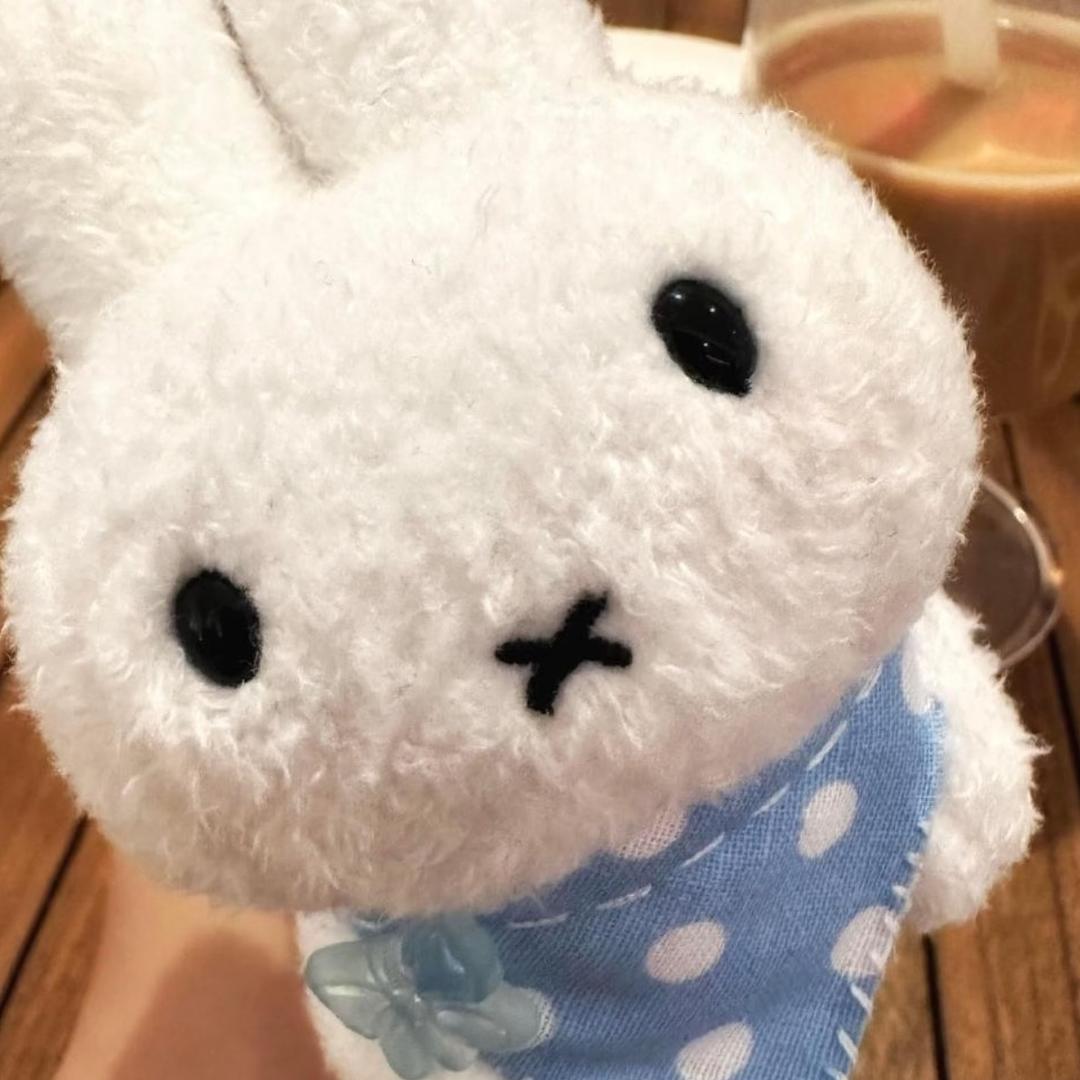 耿