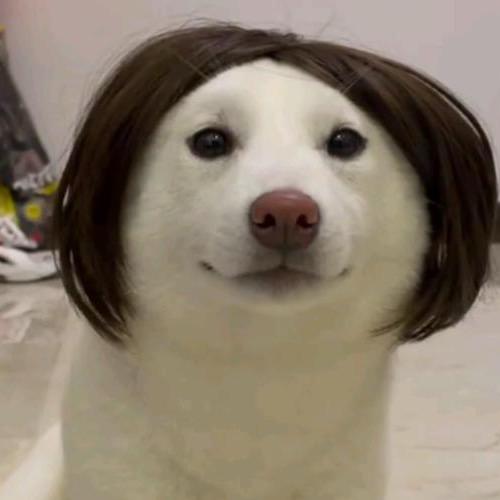 落米团子