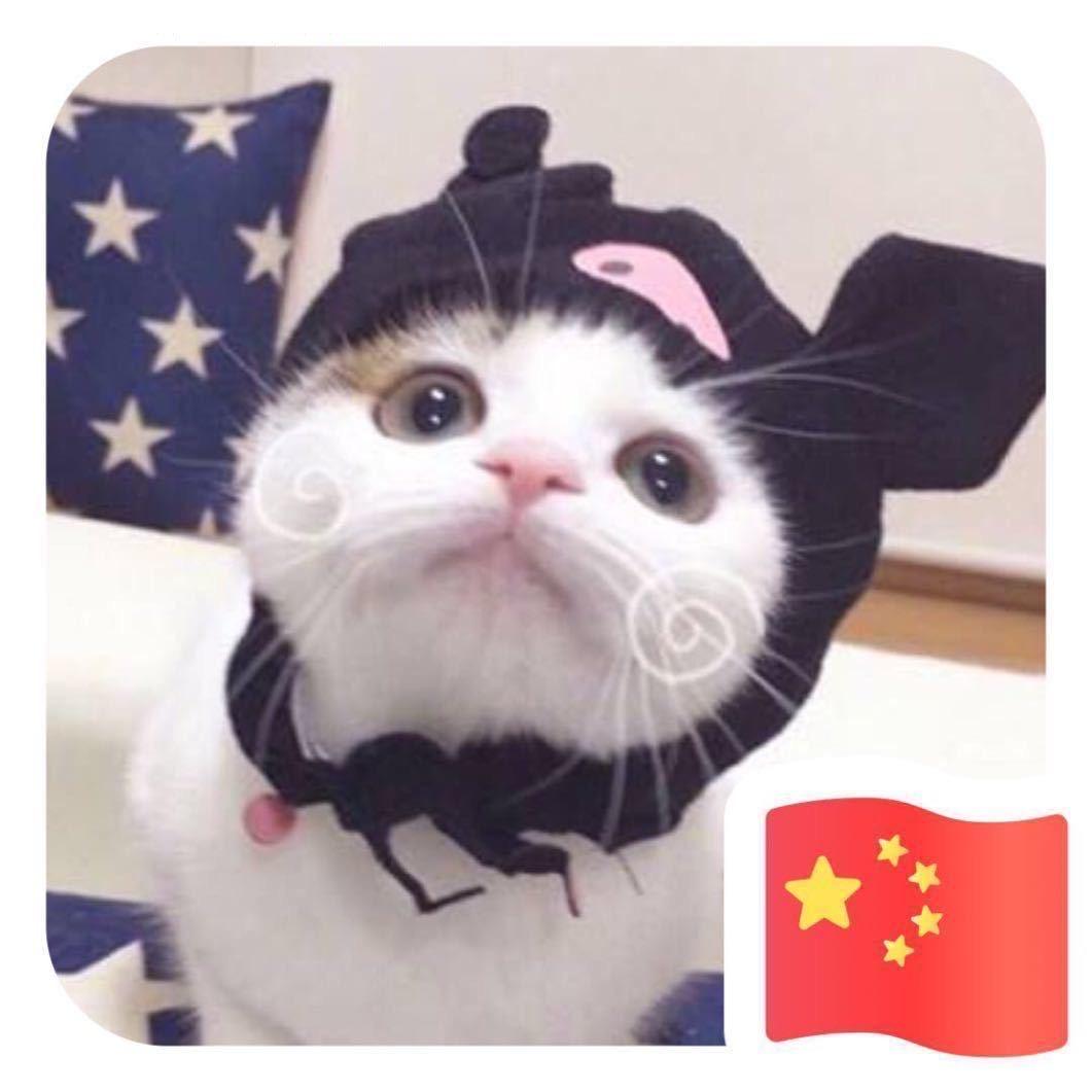 小胖儿